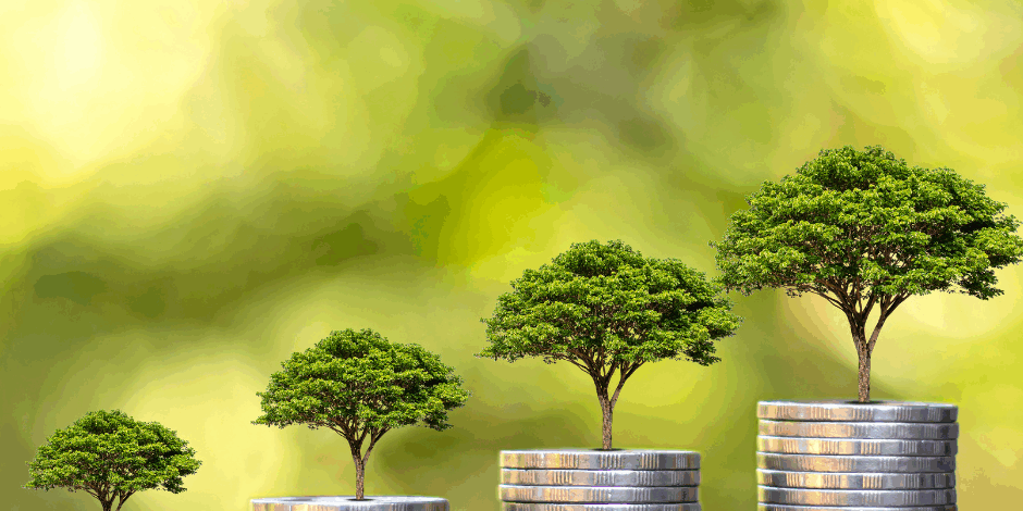 Blog Small but Mighty – Why 2025 is a Great Year for being a small business. FB